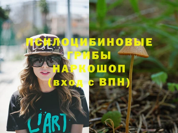 прущие крисы Пересвет