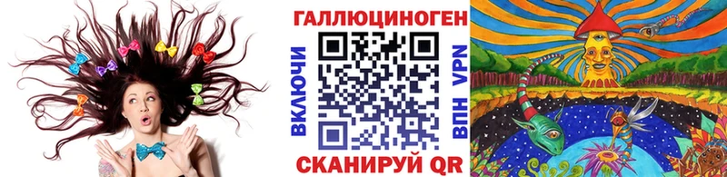 Галлюциногенные грибы Psilocybe Лысково